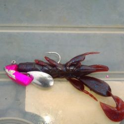 夜明け前は紀の川河口、その後煙樹ヶ浜へ！